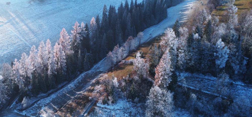 Działka rolno-budowlana w Łapszance #1703