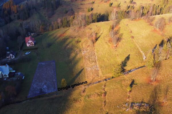 Łapszanka 667 - 1(1)