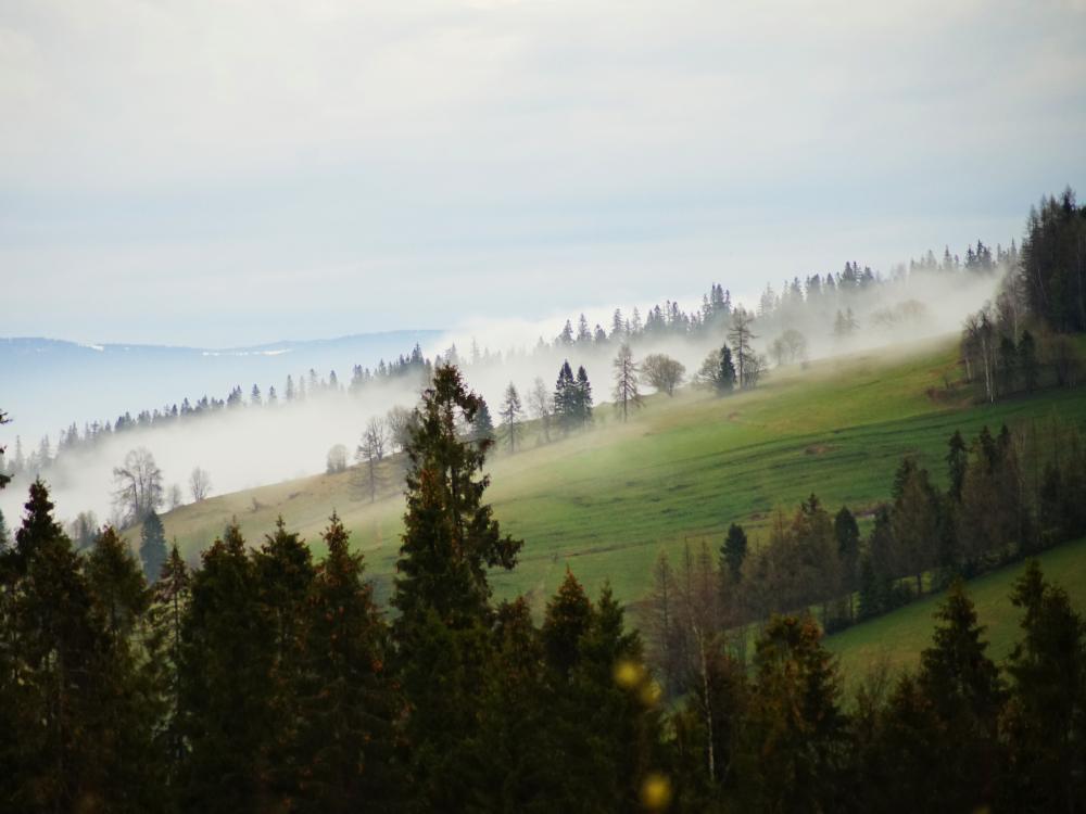 Działka rolna w Łapszance #667