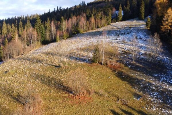 Łapszanka działka 674_2 - 2