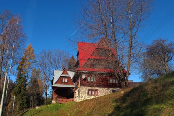 Łapszanka 9,7ha - 1