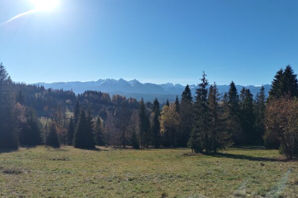 Łapszanka 9,7ha - 5