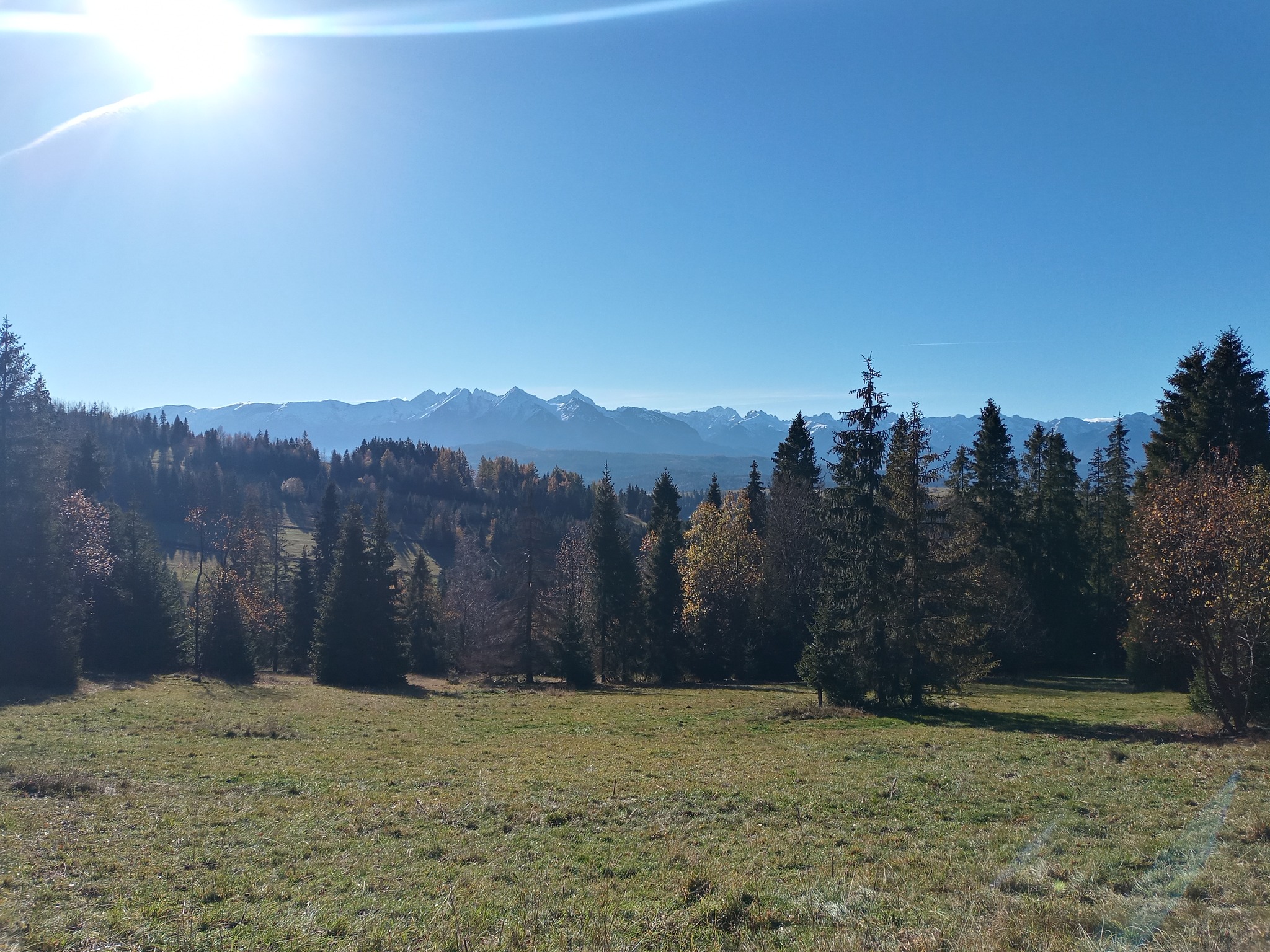 Działka rolna w Łapszance