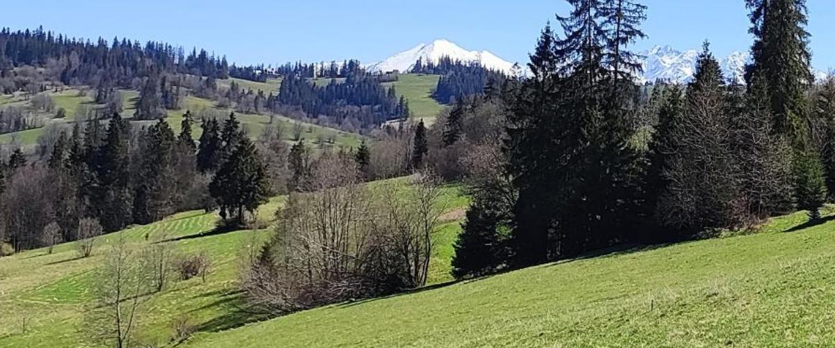 Działka z widokiem na Tatry – Gliczarów Dolny (bez MPZP)