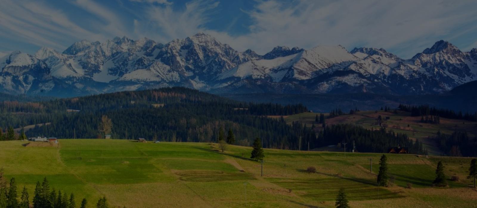 Jak zmienią się ceny działek w 2024 – spodziewane wzrosty czy spadki?