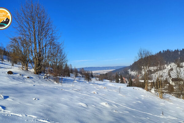 IMG20250118125901