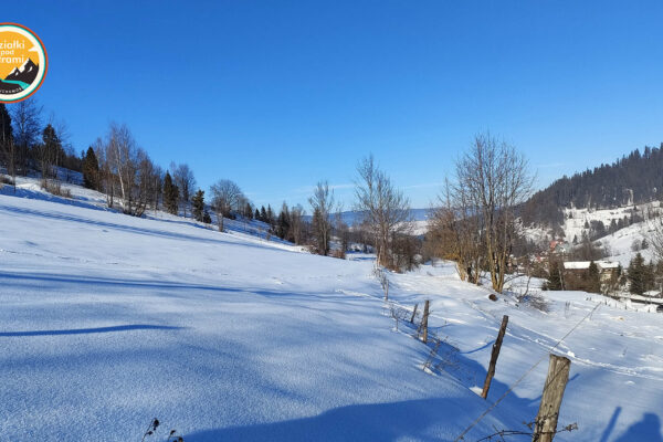 IMG20250118130032