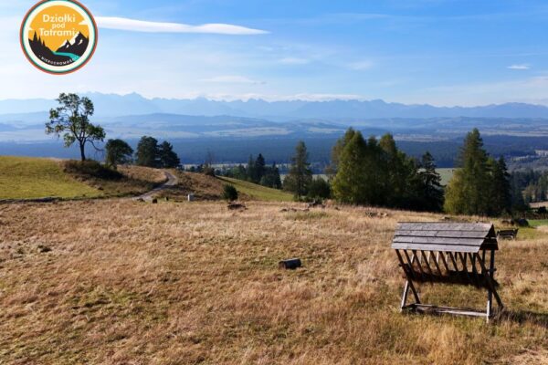 Knurów - działka pod dom na kołach 1