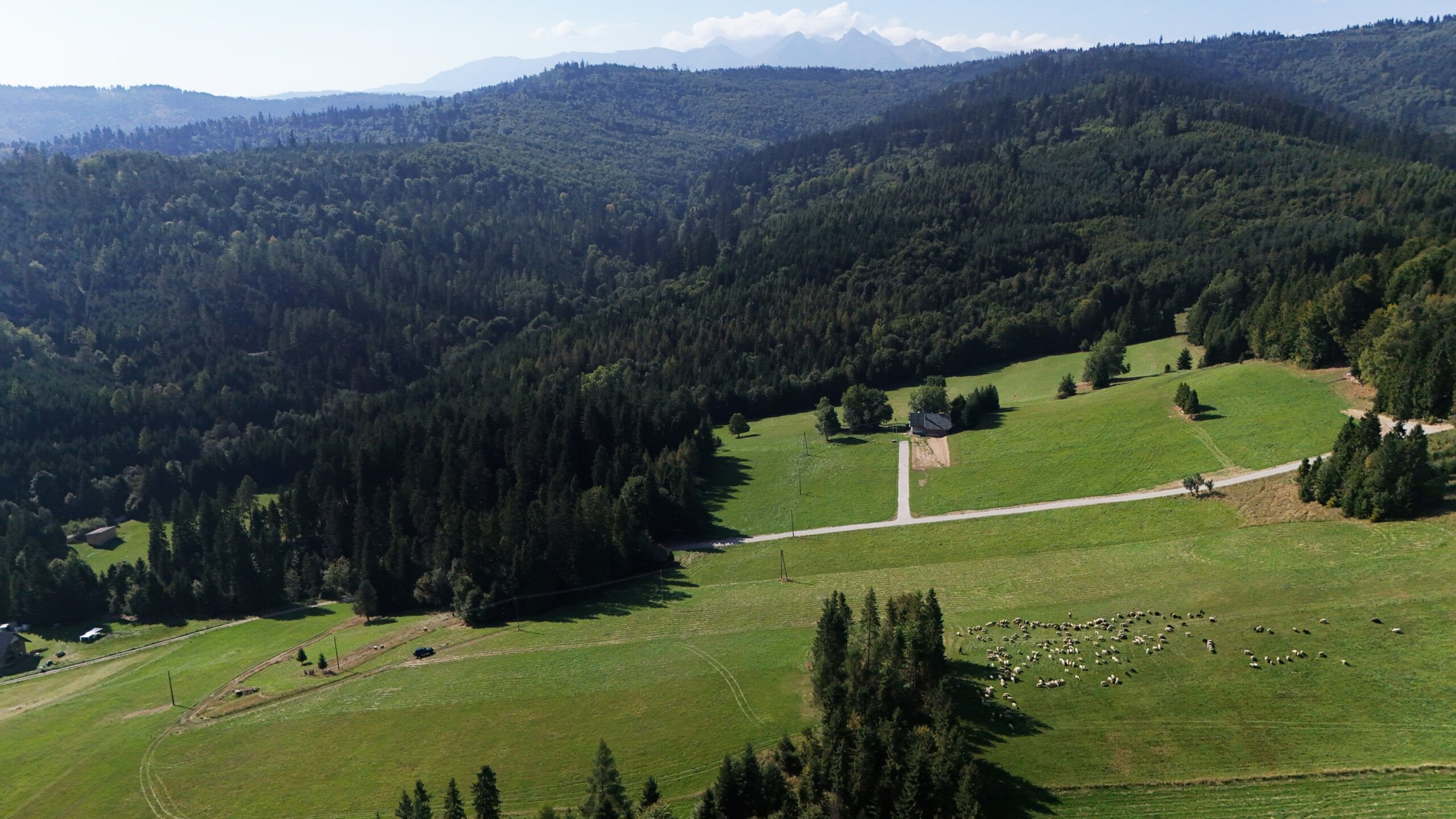 Działka rolno-budowlana 78ar – Łapsze Niżne