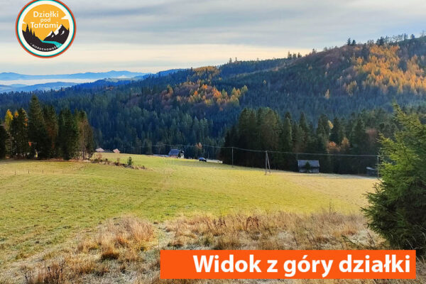 Łapsze Niżne 1ha - zdjęcie 3 z góry działki