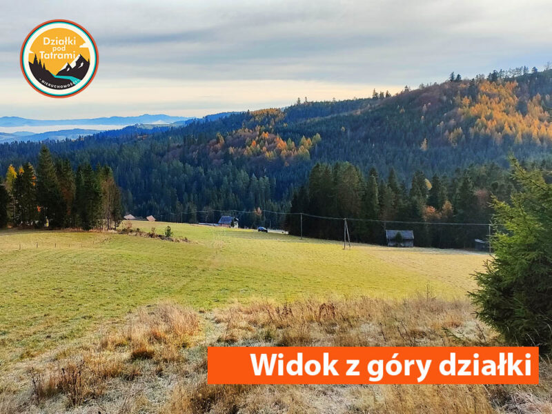 Łapsze Niżne 1ha - zdjęcie 3 z góry działki Łapsze Niżne 1ha - zdjęcie 3 z góry działki