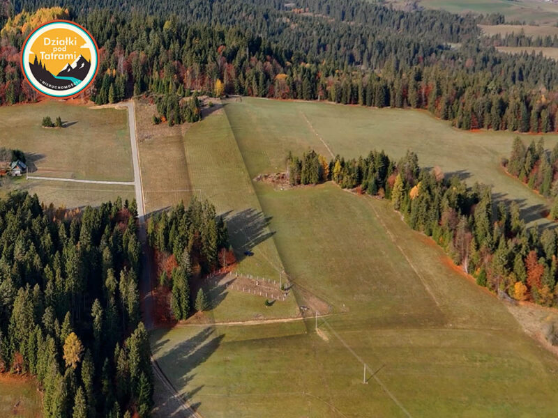 Łapsze Niżne 1ha - zdjęcie 4a - podział Łapsze Niżne 1ha - zdjęcie 4a - podział