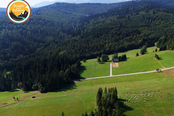 Łapsze Niżne 1ha - zdjęcie 5