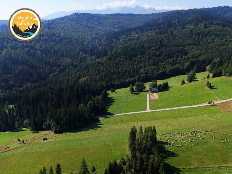 Łapsze Niżne 1ha - zdjęcie 5 Łapsze Niżne 1ha - zdjęcie 5