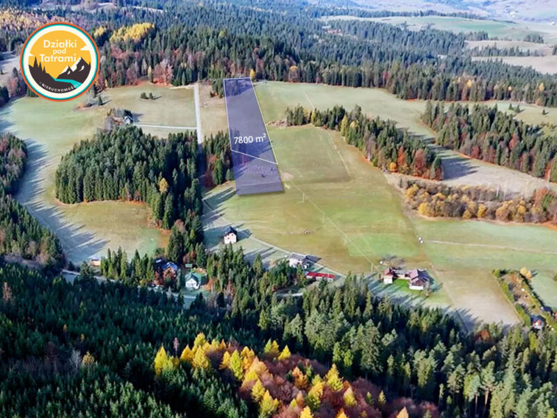 Łapsze Nżne 3 Łapsze Nżne 3