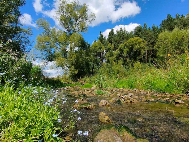 Trybsz 4ary 1 Trybsz 4ary 1