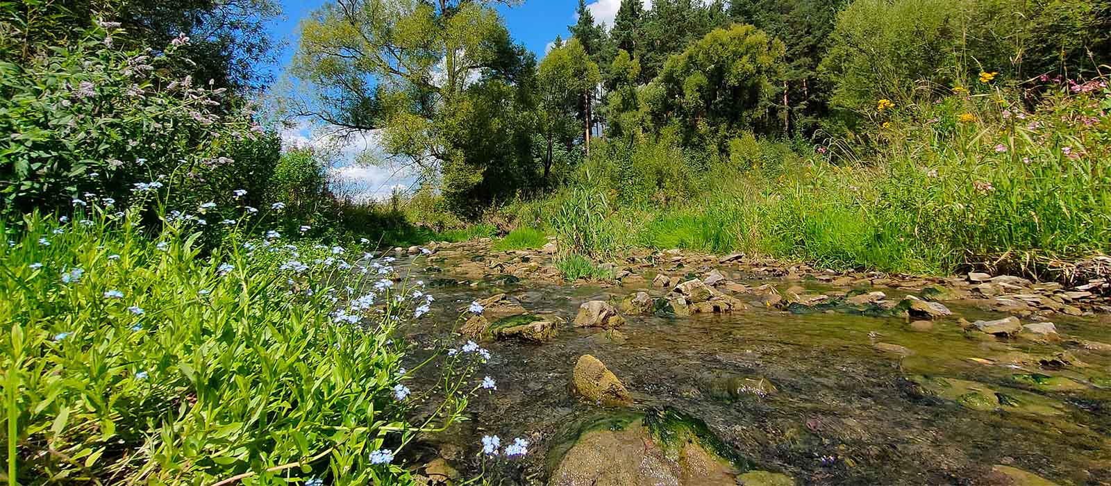 Mała działka budowlana w Trybszu
