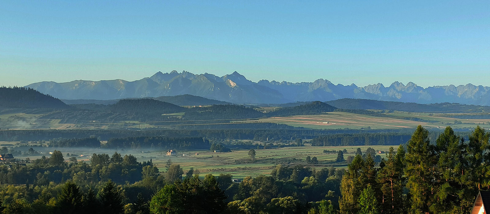 Działka budowlana w Knurowie