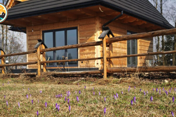 Chochołów 2 domki 7ar 8