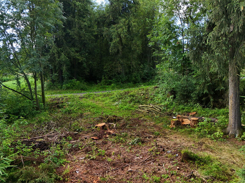Poronin Majerczykówka 4 Poronin Majerczykówka 4